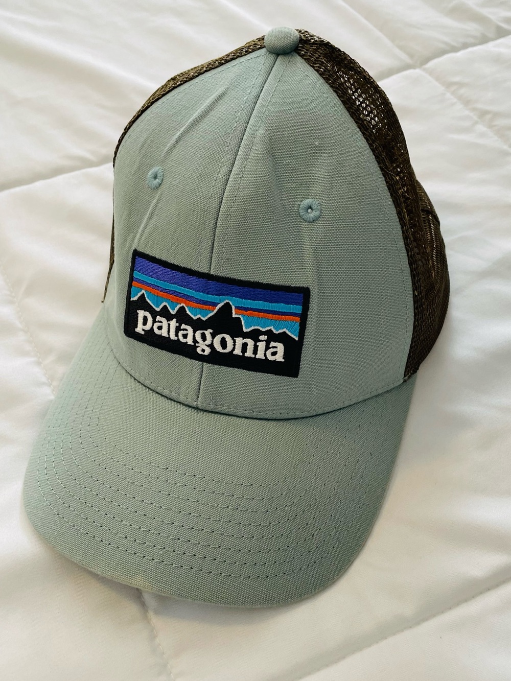 Patagonia Snap Back Hat Like New!!